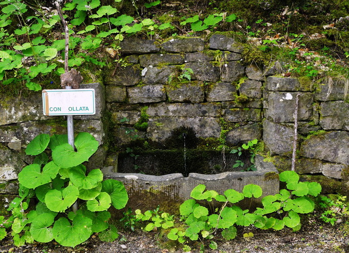 Fontanili della Toscana